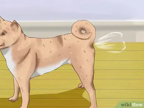 Image intitulée Treat Worms in Dogs Step 7