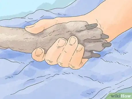 Image intitulée Help Change the World Step 10