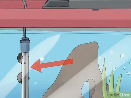 Image intitulée Look After Tropical Fish Step 3