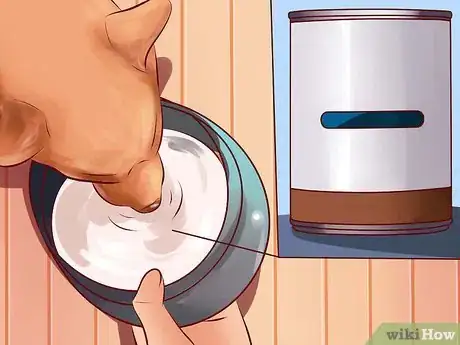 Image intitulée Treat Arthritis in Dogs Step 4