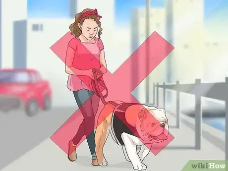 Image intitulée Diagnose Respiratory Problems in Bulldogs Step 11