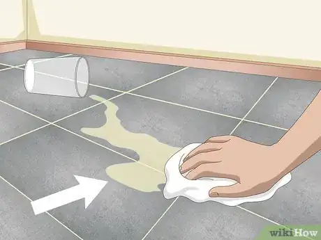 Image intitulée Clean Colored Grout Step 10