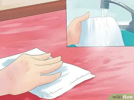Image intitulée Remove Pet Urine from Carpet Step 13
