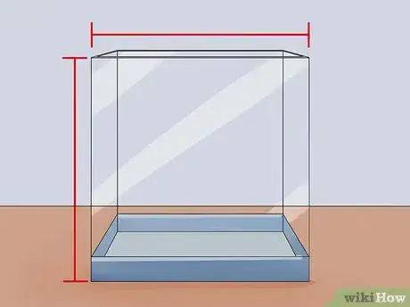 Image intitulée Help a Betta Fish Live Longer Step 7