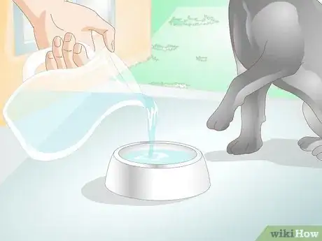 Image intitulée Prevent UTI in Dogs Step 3