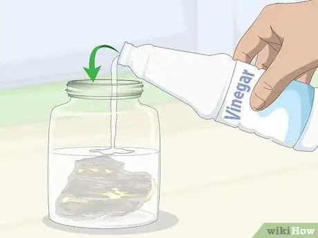 Image intitulée Identify Gold in Quartz Step 5