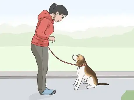 Image intitulée Get Your Small Dog to Stop Biting and Barking at You Step 9