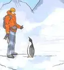 voyager en Antarctique