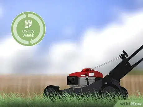 Image intitulée Get Rid of Quack Grass Step 3