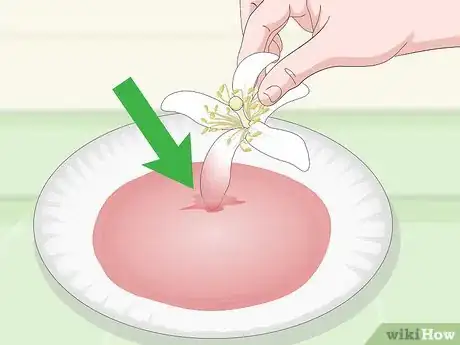 Image intitulée Dye Silk Flowers Step 10