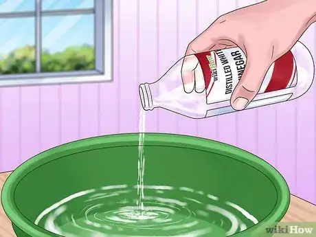 Image intitulée Clean Insoles Step 6