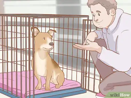 Image intitulée Crate Train an Older Dog Step 6