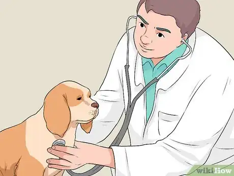 Image intitulée Treat a Dog with a Cold Step 10