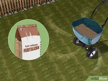 Image intitulée Get Rid of Quack Grass Step 4