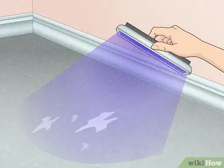 Image intitulée Remove Urine Odor from Concrete Step 3