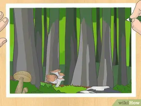 Image intitulée Draw a Forest Step 15