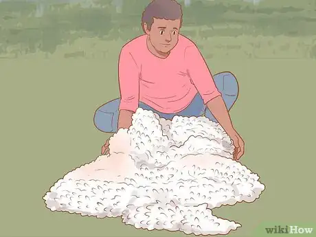 Image intitulée Shear a Sheep Step 15