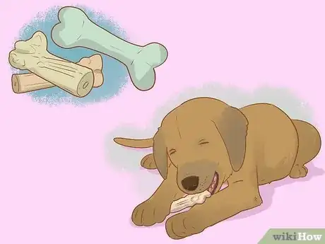 Image intitulée Soften Dog Tartar Step 6