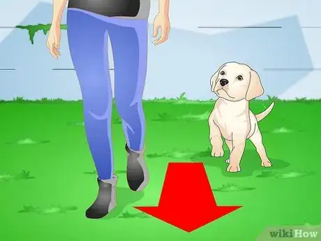 Image intitulée Make a Puppy Stop Digging Step 5