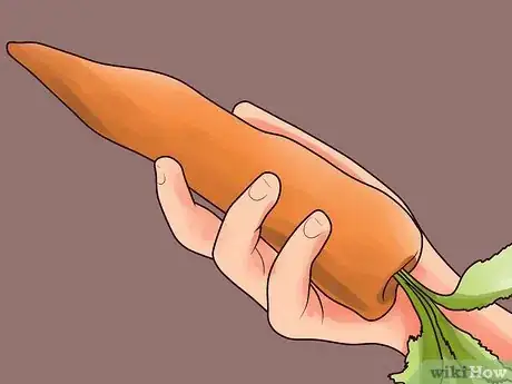 Image intitulée Avoid a Stomach Virus After Being Exposed Step 5
