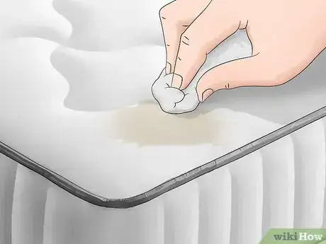 Image intitulée Clean Vomit from a Mattress Step 3