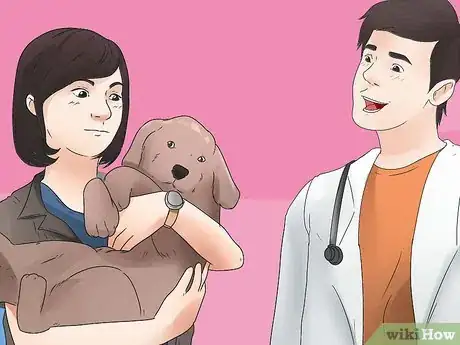 Image intitulée Tell if Your Dog Is Deaf Step 9