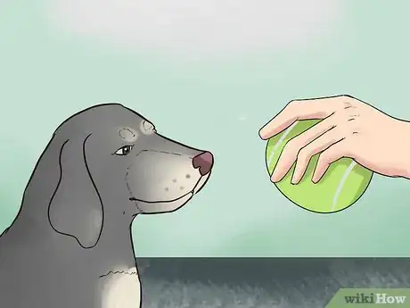 Image intitulée Keep a Dog Calm During Fireworks Step 4