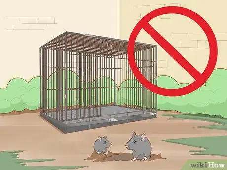 Image intitulée Prevent Worms in Dogs Step 4