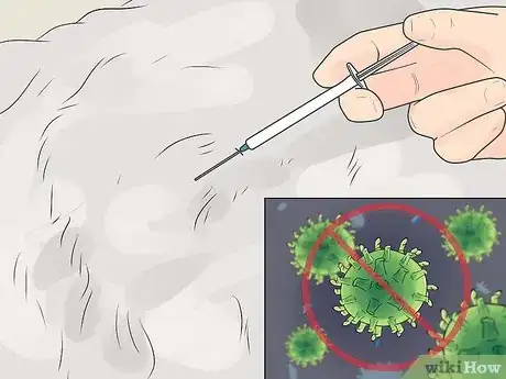 Image intitulée Care for a Rottweiler Puppy Step 4