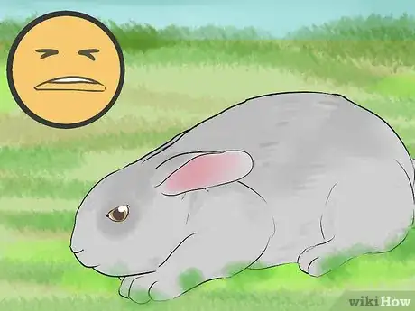 Image intitulée Read Bunny Ear Signals Step 2