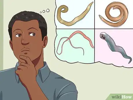 Image intitulée Treat Worms in Dogs Step 1