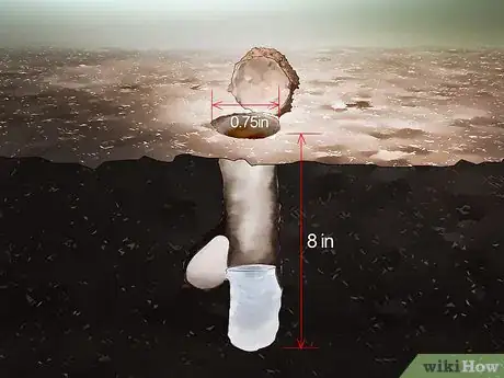 Image intitulée Identify a Trapdoor Spider Step 8