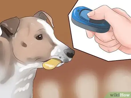 Image intitulée Keep Your Dog from Chasing Cats Step 13