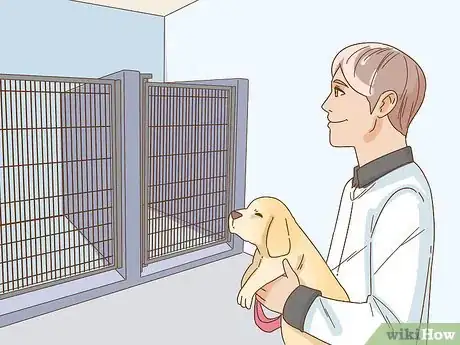 Image intitulée Leave Your Pets Alone While on Vacation Step 12