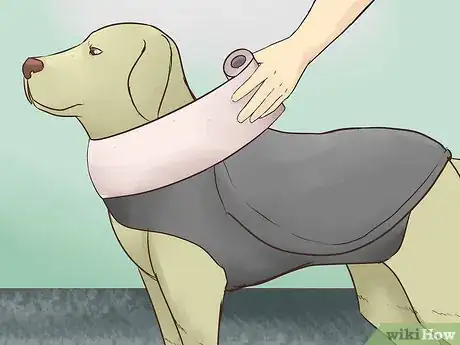 Image intitulée Keep a Dog Calm During Fireworks Step 6