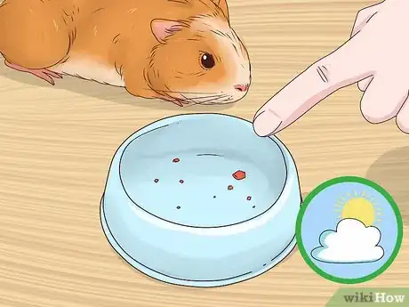 Image intitulée Tame Your Guinea Pig Step 5