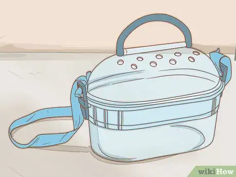 Image intitulée Care for Syrian Hamsters Step 4