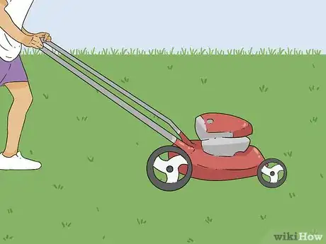 Image intitulée Bring Back Dead Grass Step 4