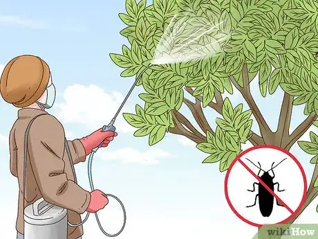 Image intitulée Grow Cherries Step 25