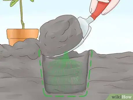 Image intitulée Grow Cherries Step 11