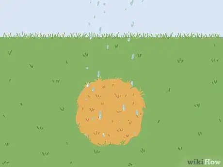 Image intitulée Bring Back Dead Grass Step 3