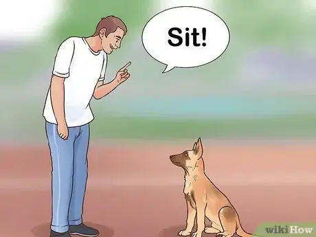 Image intitulée Train a Belgian Malinois Step 8