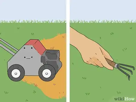 Image intitulée Bring Back Dead Grass Step 14