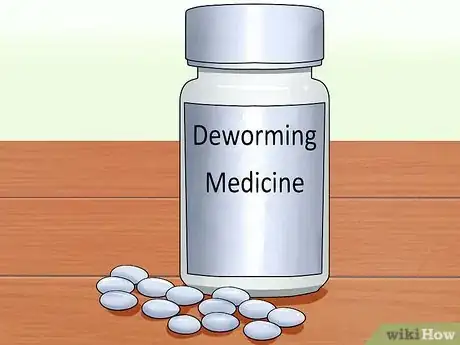 Image intitulée Diagnose Hookworms in Dogs Step 9