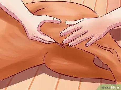 Image intitulée Treat Arthritis in Dogs Step 9