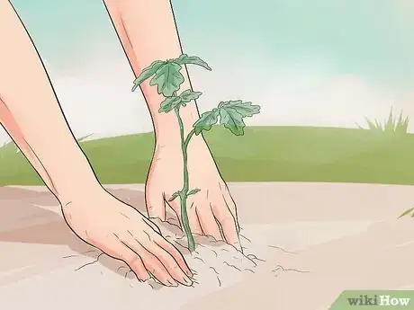 Image intitulée Be Greener Step 12