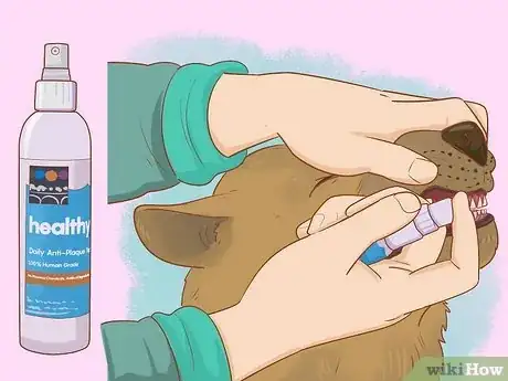 Image intitulée Soften Dog Tartar Step 5