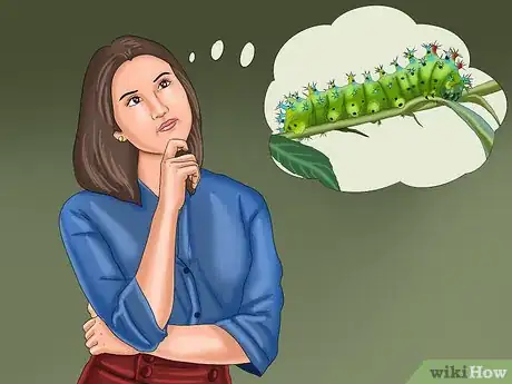 Image intitulée Keep Caterpillars Out of the Garden Step 1