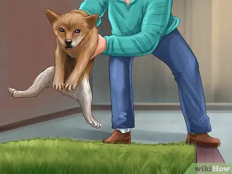 Image intitulée Get Rid of Dog Urine Smell Step 12