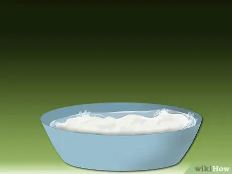 Image intitulée Treat Allergic Dermatitis in Dogs Step 15